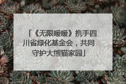 《无限暖暖》携手四川省绿化基金会，共同守护大熊猫家园