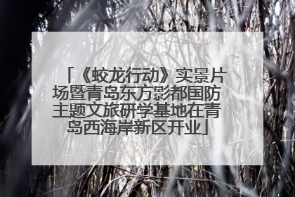 《蛟龙行动》实景片场暨青岛东方影都国防主题文旅研学基地在青岛西海岸新区开业