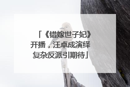 《错嫁世子妃》开播，汪卓成演绎复杂反派引期待