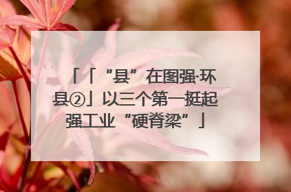 「“县”在图强·环县②」以三个第一挺起强工业“硬脊梁”