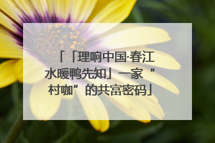 「理响中国·春江水暖鸭先知」一家“村咖”的共富密码