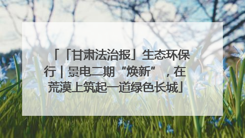 「甘肃法治报」生态环保行｜景电二期“焕新”，在荒漠上筑起一道绿色长城