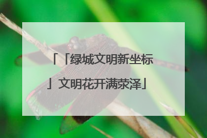 「绿城文明新坐标」文明花开满荥泽