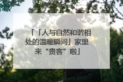 「人与自然和谐相处的温暖瞬间」家里来“贵客”啦