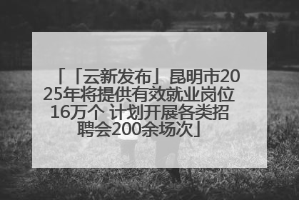 「云新发布」昆明市2025年将提供有效就业岗位16万个 计划开展各类招聘会200余场次