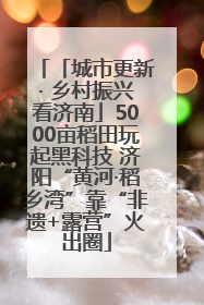 「城市更新· 乡村振兴看济南」5000亩稻田玩起黑科技 济阳“黄河·稻乡湾”靠“非遗+露营”火出圈