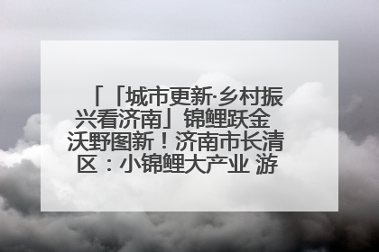 「城市更新·乡村振兴看济南」锦鲤跃金 沃野图新！济南市长清区：小锦鲤大产业 游出农旅新风景
