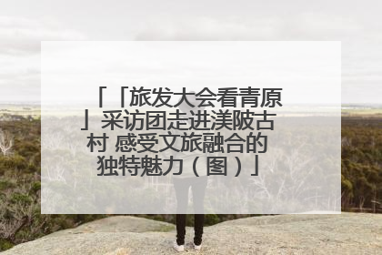 「旅发大会看青原」采访团走进渼陂古村 感受文旅融合的独特魅力（图）