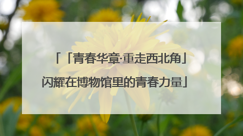 「青春华章·重走西北角」闪耀在博物馆里的青春力量