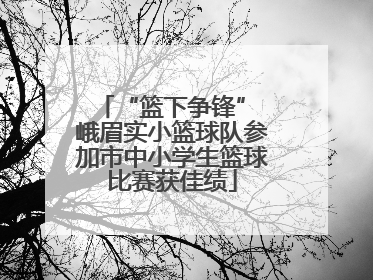 “篮下争锋” 峨眉实小篮球队参加市中小学生篮球比赛获佳绩