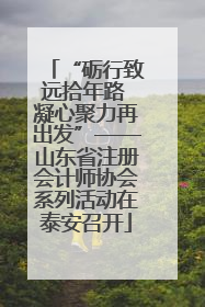 “砺行致远拾年路 凝心聚力再出发”——山东省注册会计师协会系列活动在泰安召开