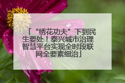 “绣花功夫”下到民生要处！泰兴城市治理智慧平台实现全时段联网全要素细治