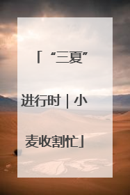 “三夏”进行时｜小麦收割忙