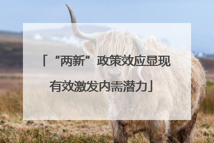 “两新”政策效应显现 有效激发内需潜力
