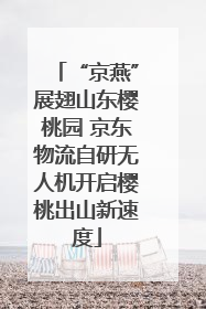 “京燕”展翅山东樱桃园 京东物流自研无人机开启樱桃出山新速度