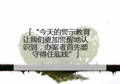 “今天的警示教育让我们更加警醒地认识到，办案者首先要守得住底线”