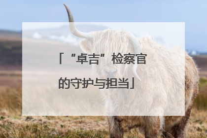 “卓吉”检察官的守护与担当