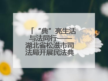“典”亮生活 与法同行——湖北省松滋市司法局开展民法典宣传系列活动