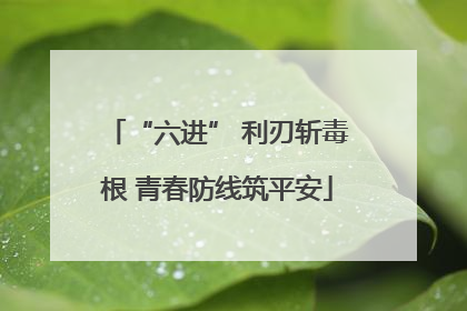 “六进” 利刃斩毒根 青春防线筑平安
