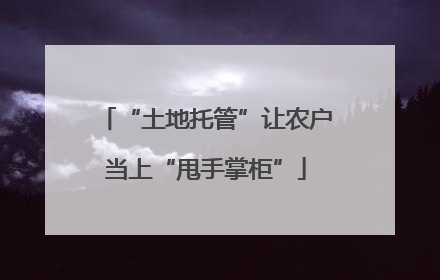 “土地托管”让农户当上“甩手掌柜”
