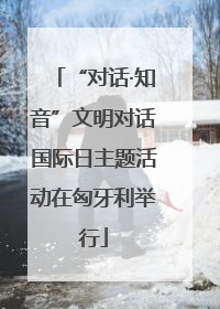 “对话·知音”文明对话国际日主题活动在匈牙利举行