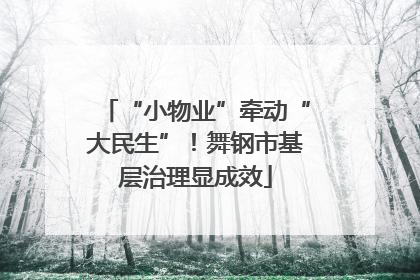 “小物业”牵动“大民生”！舞钢市基层治理显成效