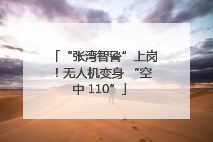 “张湾智警”上岗！无人机变身 “空中 110”