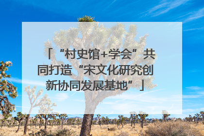 “村史馆+学会”共同打造“宋文化研究创新协同发展基地”