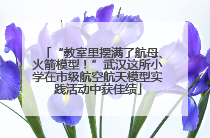 “教室里摆满了航母、火箭模型！”武汉这所小学在市级航空航天模型实践活动中获佳绩