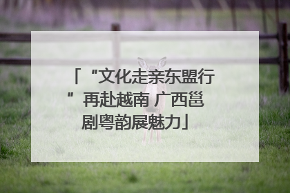 “文化走亲东盟行”再赴越南 广西邕剧粤韵展魅力