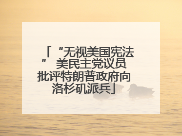 “无视美国宪法” 美民主党议员批评特朗普政府向洛杉矶派兵