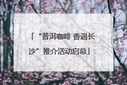 “普洱咖啡 香遇长沙”推介活动启幕