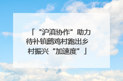 “沪滇协作”助力待补镇鹧鸡村跑出乡村振兴“加速度”