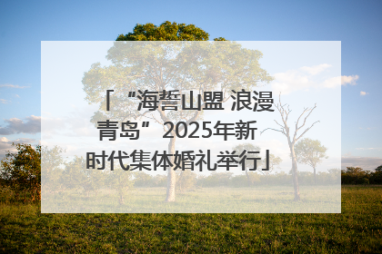 “海誓山盟 浪漫青岛”2025年新时代集体婚礼举行