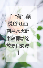 “荷”颜悦色 江西南昌水岚洲半岛荷塘绽放夏日浪漫