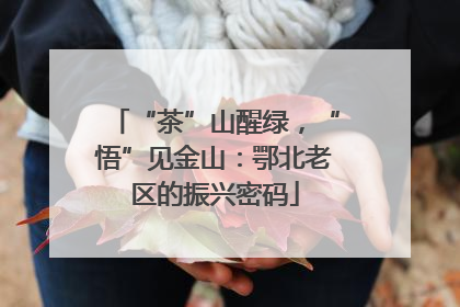 “茶”山醒绿，“悟”见金山：鄂北老区的振兴密码