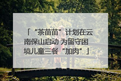 “茶苗苗”计划在云南保山启动 为留守困境儿童三餐“加肉”