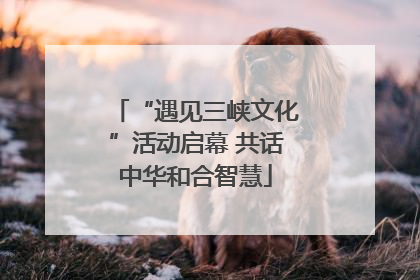 “遇见三峡文化”活动启幕 共话中华和合智慧