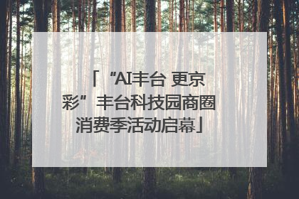 “AI丰台 更京彩”丰台科技园商圈消费季活动启幕