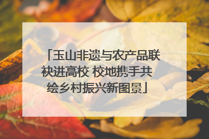 玉山非遗与农产品联袂进高校 校地携手共绘乡村振兴新图景
