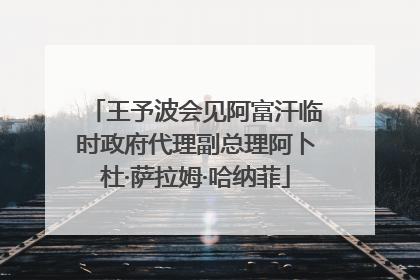 王予波会见阿富汗临时政府代理副总理阿卜杜·萨拉姆·哈纳菲