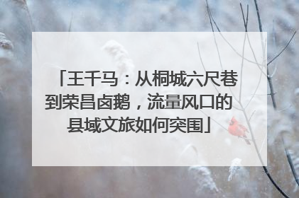 王千马：从桐城六尺巷到荣昌卤鹅，流量风口的县域文旅如何突围
