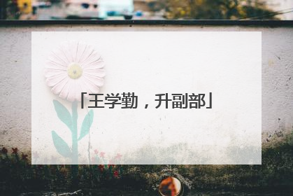 王学勤，升副部