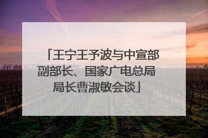 王宁王予波与中宣部副部长、国家广电总局局长曹淑敏会谈