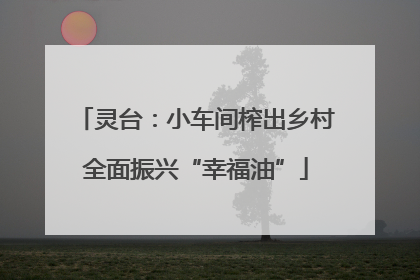 灵台：小车间榨出乡村全面振兴“幸福油”