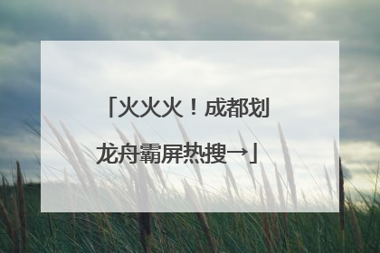 火火火！成都划龙舟霸屏热搜→