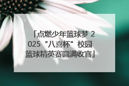 点燃少年篮球梦 2025“八喜杯”校园篮球精英赛圆满收官