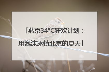 燕京34°C狂欢计划：用泡沫冰镇北京的夏天