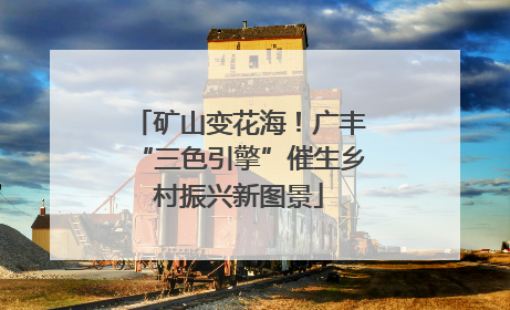 矿山变花海！广丰“三色引擎”催生乡村振兴新图景