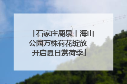 石家庄鹿泉丨海山公园万株荷花绽放 开启夏日赏荷季